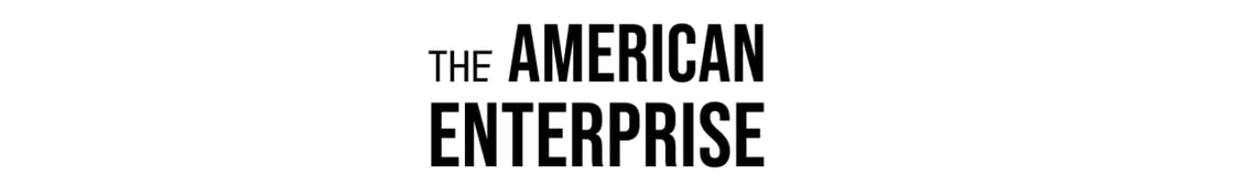 TheAmericanEnterprise_test3 (1)